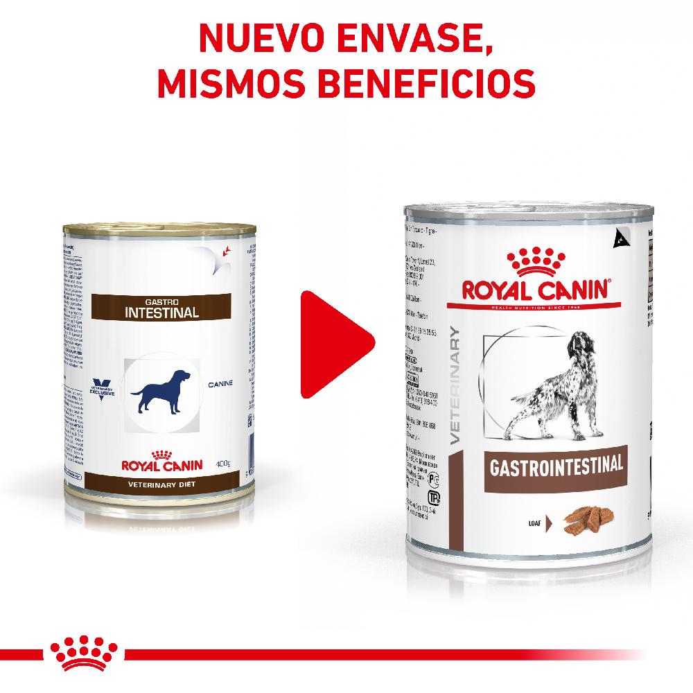 Miscota Pacco 12 Royal Canin Cibo Umido per Cani Gastro Intestinal Lattina In Vendita