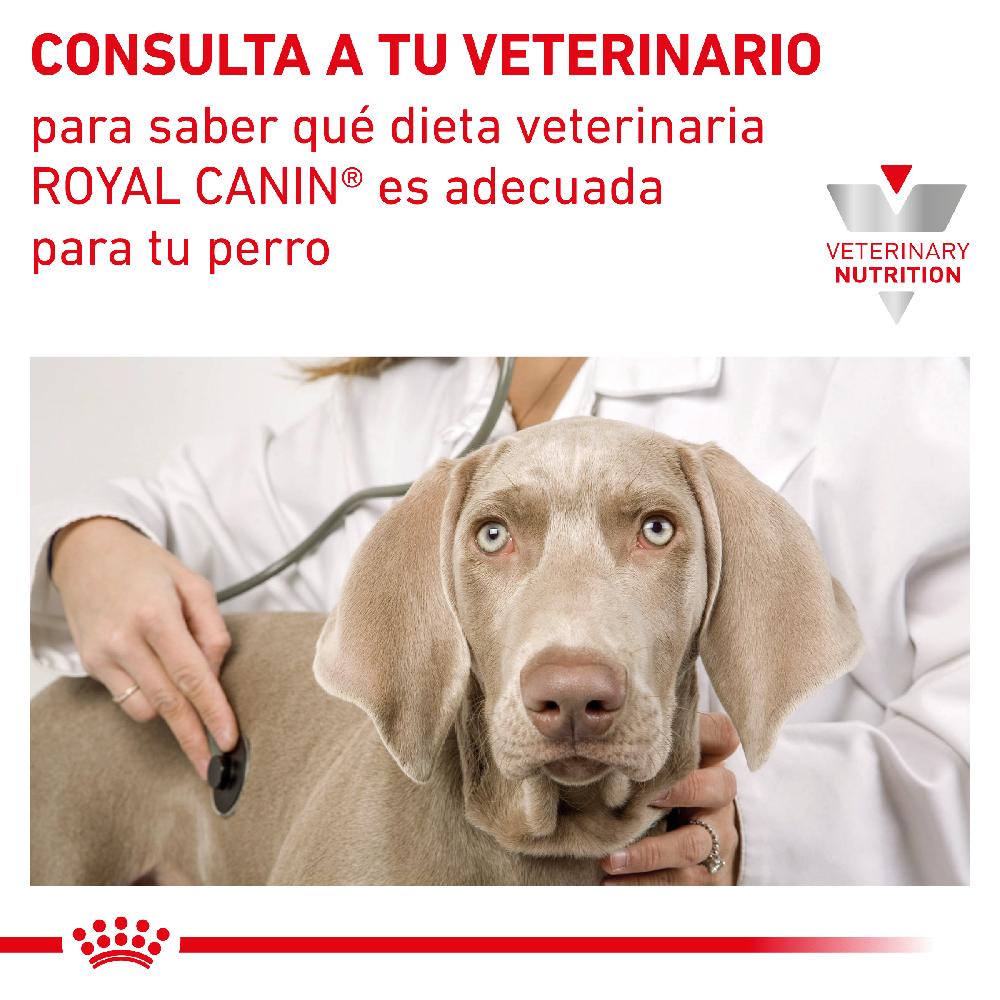 Miscota Pacco 12 Royal Canin Cibo Umido per Cani Gastro Intestinal Lattina In Vendita