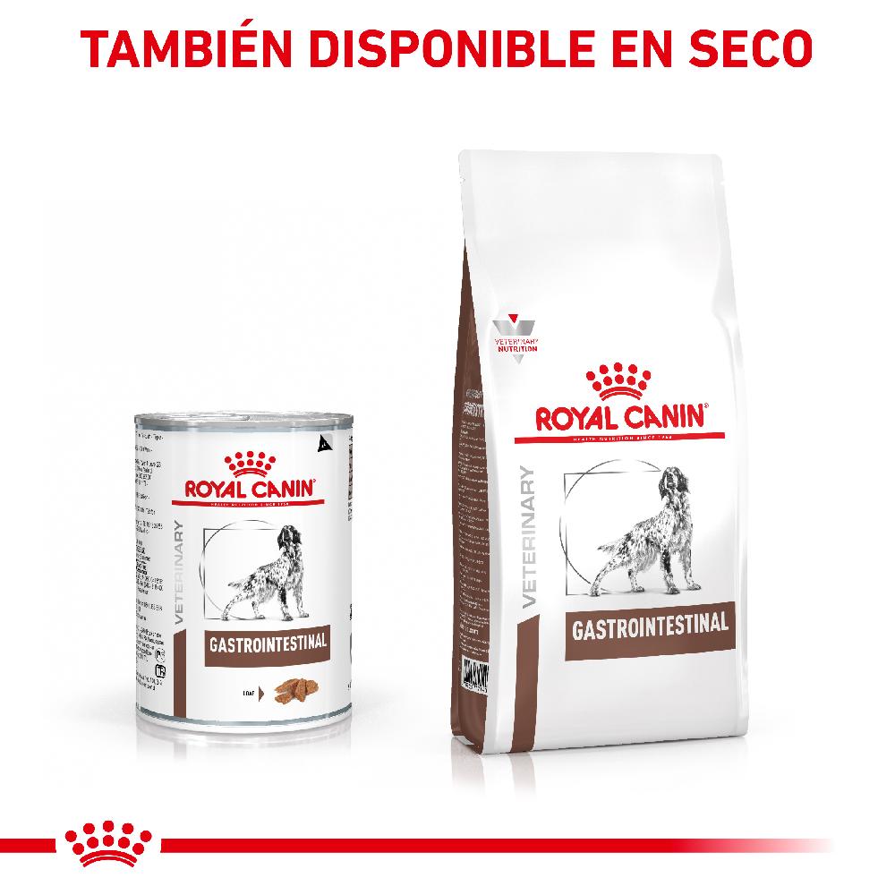 Miscota Pacco 12 Royal Canin Cibo Umido per Cani Gastro Intestinal Lattina In Vendita