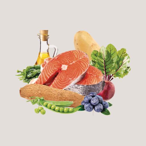 Miscota Traveness Ricetta di salmone sensibile senza cereali per alimenti naturali per cani Nuova