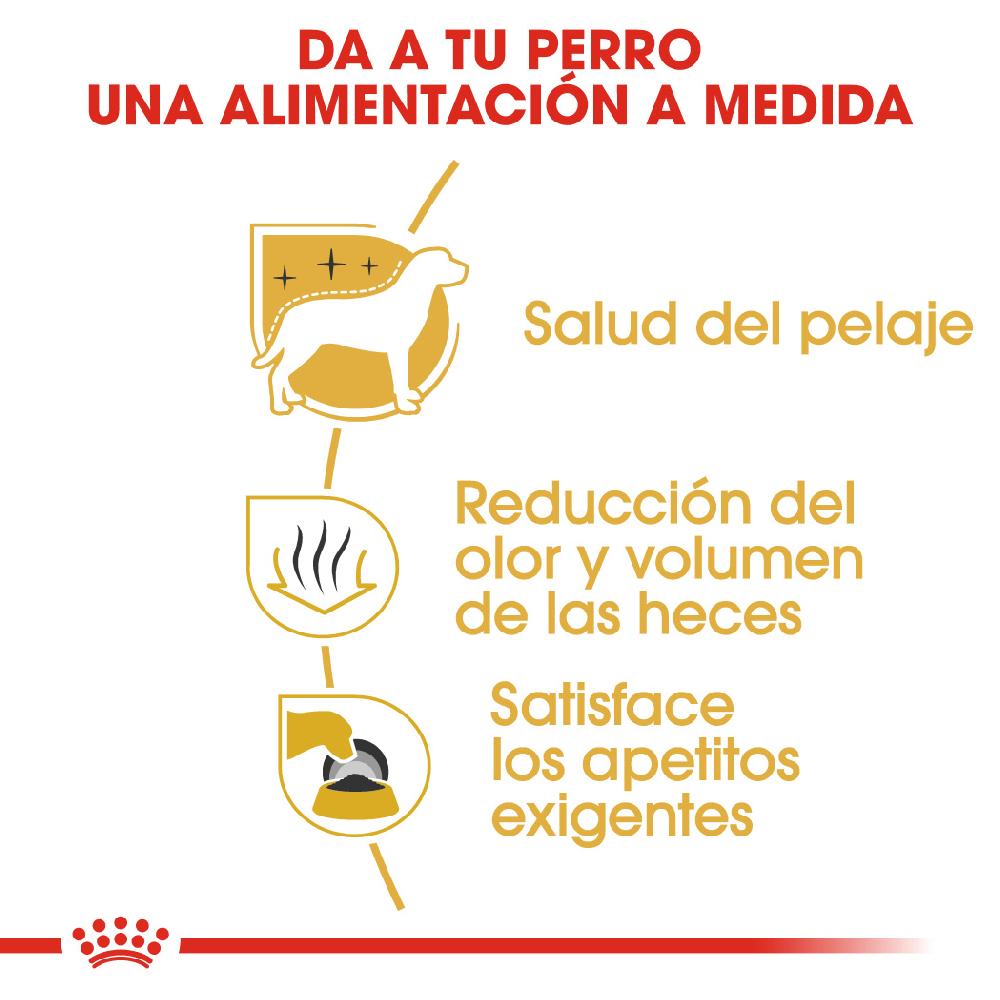 Miscota Royal Canin Maltese Adult Cibo per Cani Adulti Maltes In Saldo