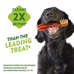 Miscota Whimzees Snack Dentale Per Cani A Forma Di Spazzola Nuova