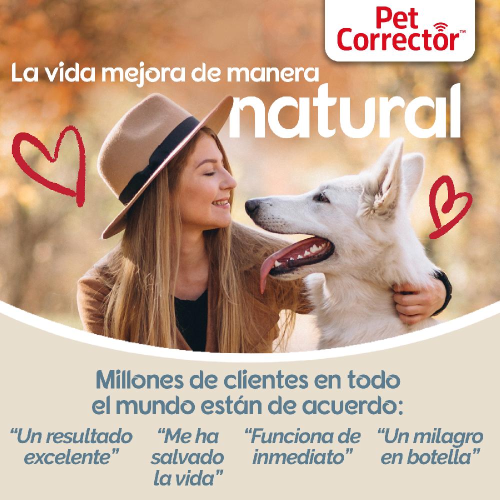 Miscota Company Of Animals Pet Corrector Vendita