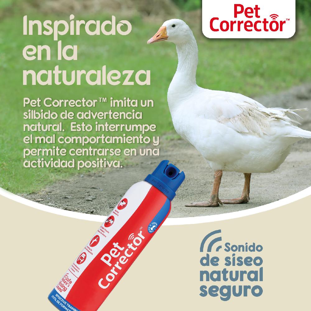 Miscota Company Of Animals Pet Corrector Vendita