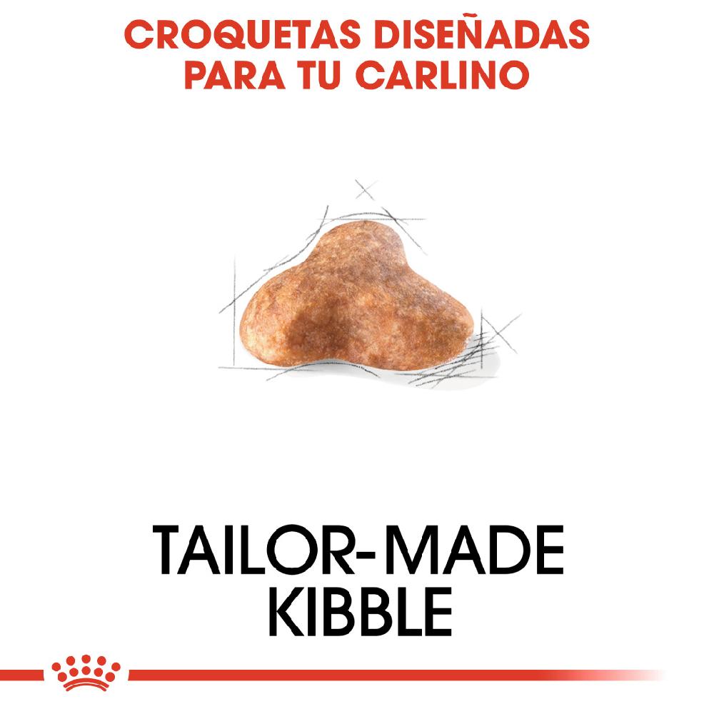 Miscota Royal Canin Cibo Secco per Cani Pug Adult Qualità Garantita