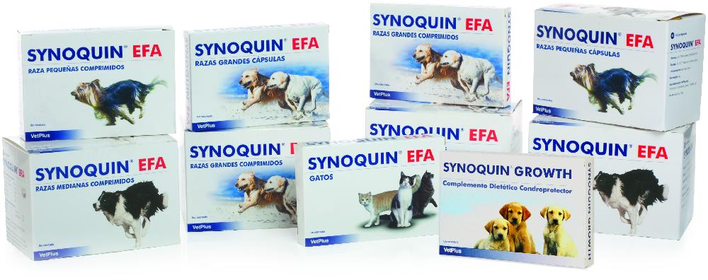 Miscota VetPlus Condroprotettore Articolare Synoquin Per Cani Di Taglia Grande In Caps Promozione Limitata