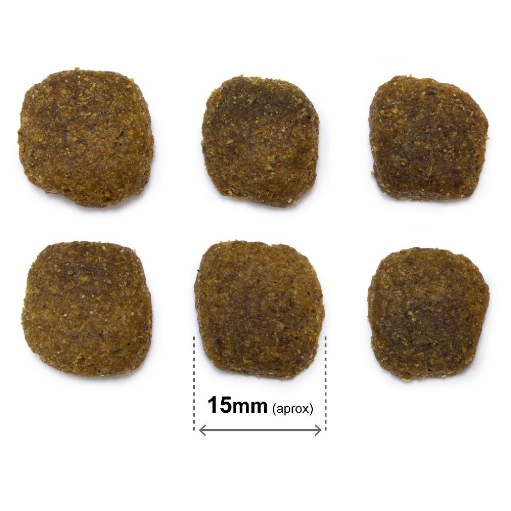 Miscota Arquivet Cane Original Adult Original Adult Salmone e Riso Sottocosto