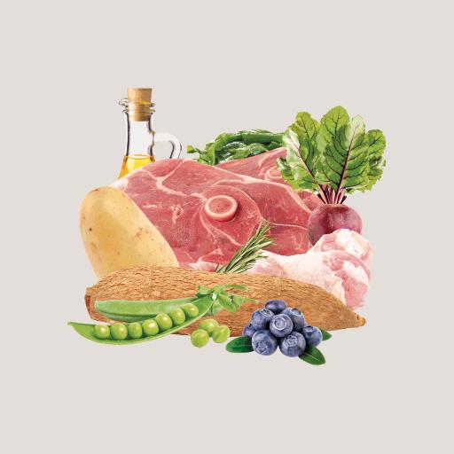 Miscota Traveness Ricetta di agnello alimento naturale senza cereali per cani Novità