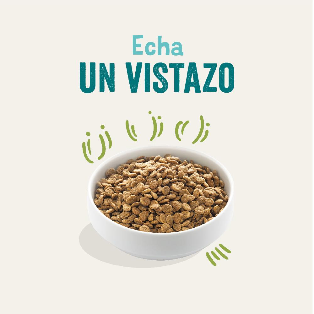 Miscota Edgard & Cooper Adult Senza Cereali Con Agnello Fresco Sconto