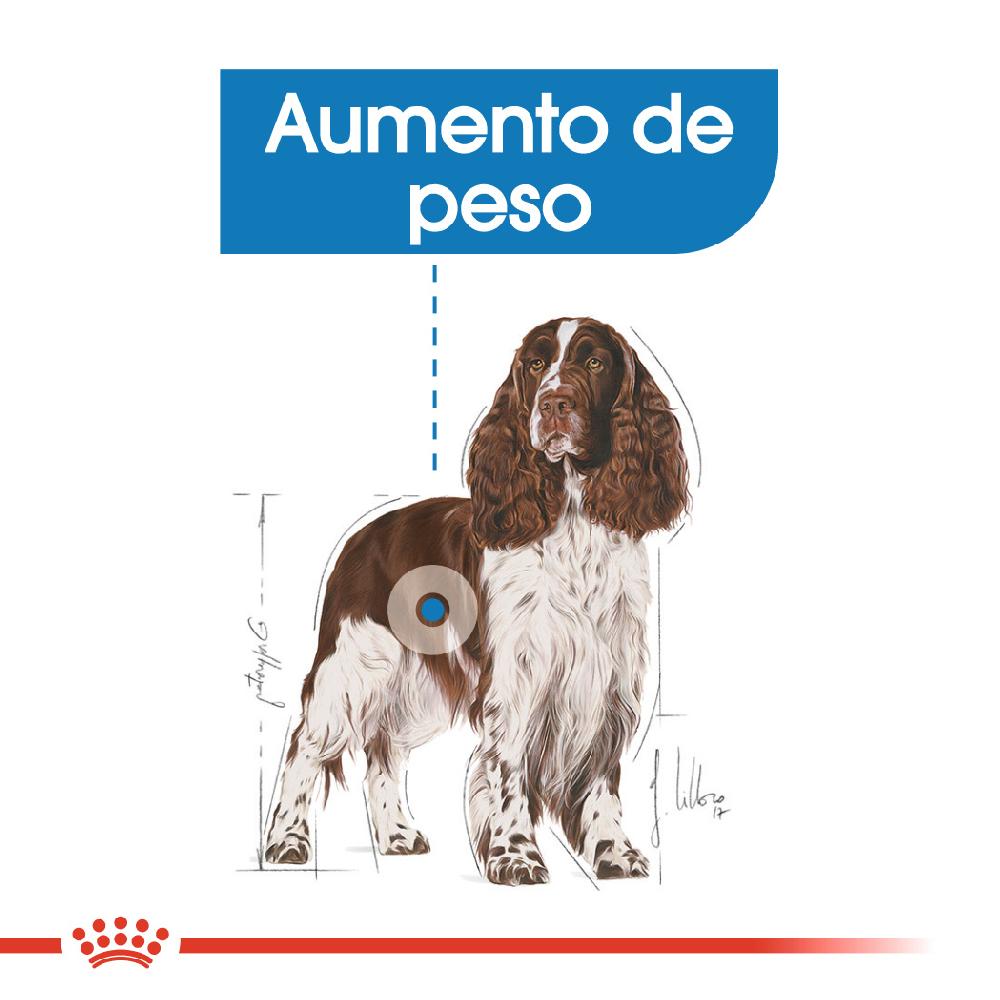 Miscota Royal Canin Medium Light Weight Care controllo del peso taglia media In Saldo