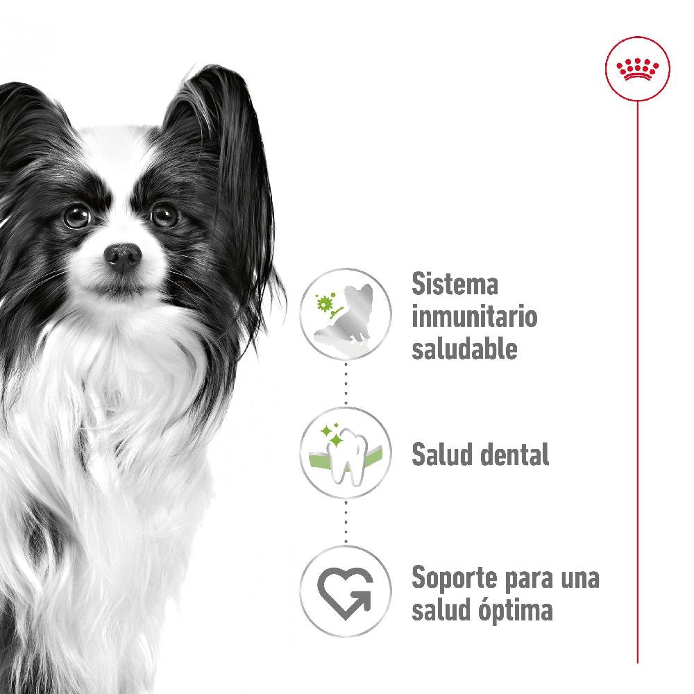 Miscota Royal Canin X-Small Adult per cani adulti di razza in miniatura Moda