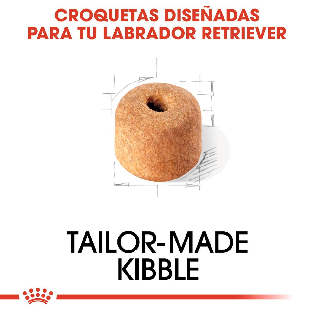Miscota Royal Canin Labrador Retriever Adult Cibo per cani di Razza Pura Italia