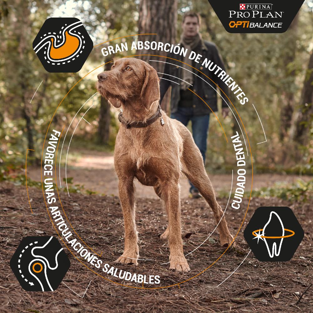 Miscota Purina Pro Plan Optibalance Adulti Small/Mini Chicken Promozione
