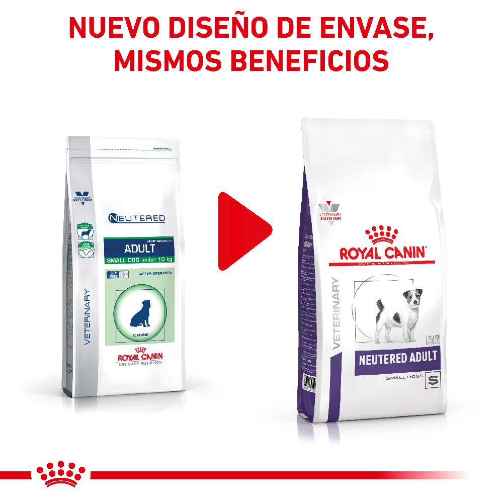 Miscota Royal Canin Cibo Secco per Cani Neutered Adult Small Dog Soddisfazione Garantita