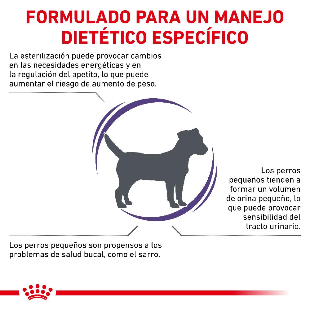Miscota Royal Canin Cibo Secco per Cani Neutered Adult Small Dog Soddisfazione Garantita