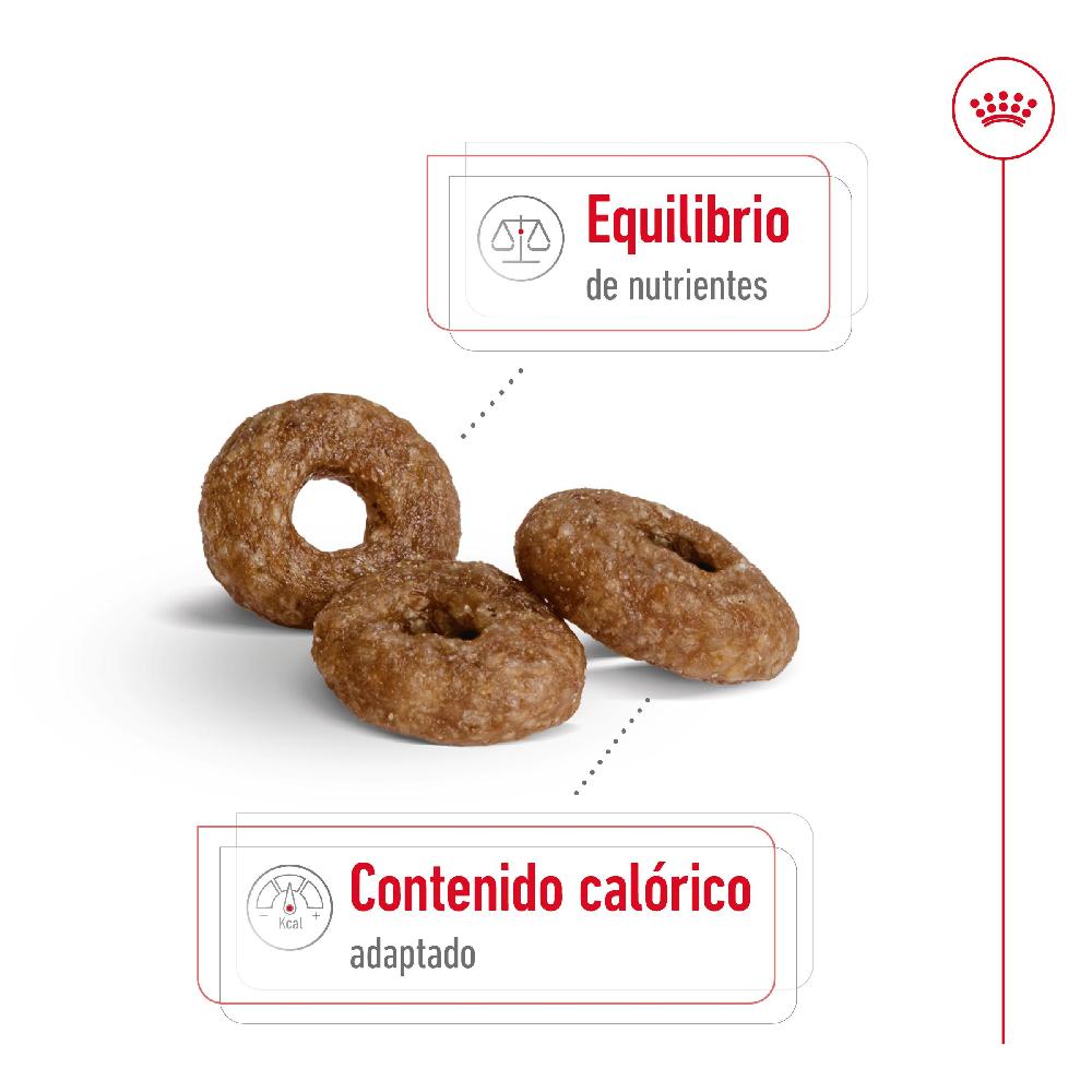 Miscota Royal Canin Cibo Secco per Cani Mini Ageing +12 Qualità Garantita