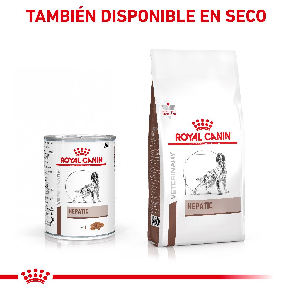 Miscota Royal Canin Cibo Umido per Cani Hepatic Lattina Esporta salva