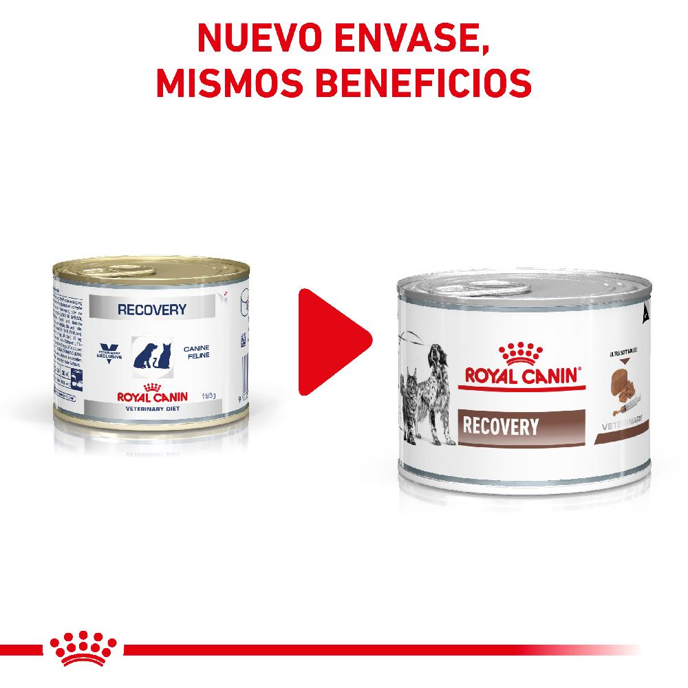 Miscota Pacco 12 Royal Canin Roya Canin Cibo Umido per Cani e Gatti Lattina Recovery Black Friday Prezzi