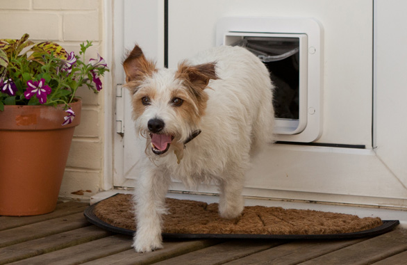 Miscota Sure Petcare Microchip White Tail Sureflap Duty-free