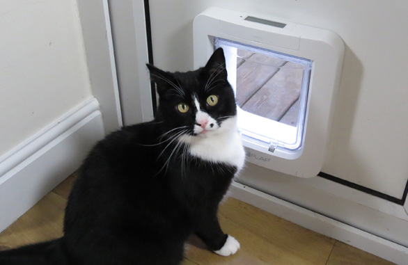 Miscota Sure Petcare Microchip White Tail Sureflap Duty-free