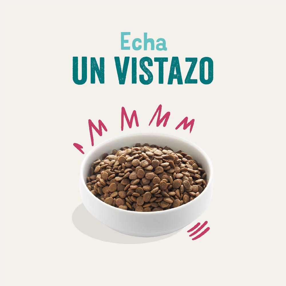 Miscota Edgard & Cooper Adult Senza Cereali Con Cervo E Anatra Freschi 50% di sconto per tempo limitato