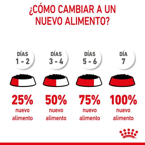 Miscota Pacco 12 Royal Canin Cibo Secco per Cani Starter Mousse Nuovo