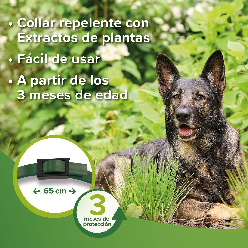 Miscota Beaphar Collare Bio Band con Neem per Cani Vendita