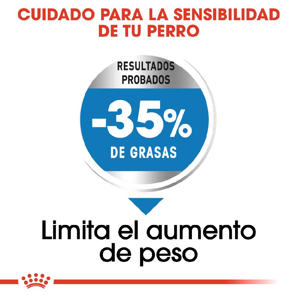 Miscota Royal Canin Maxi Light Weight Care per la gestione del peso in Plus Size Negozi Online