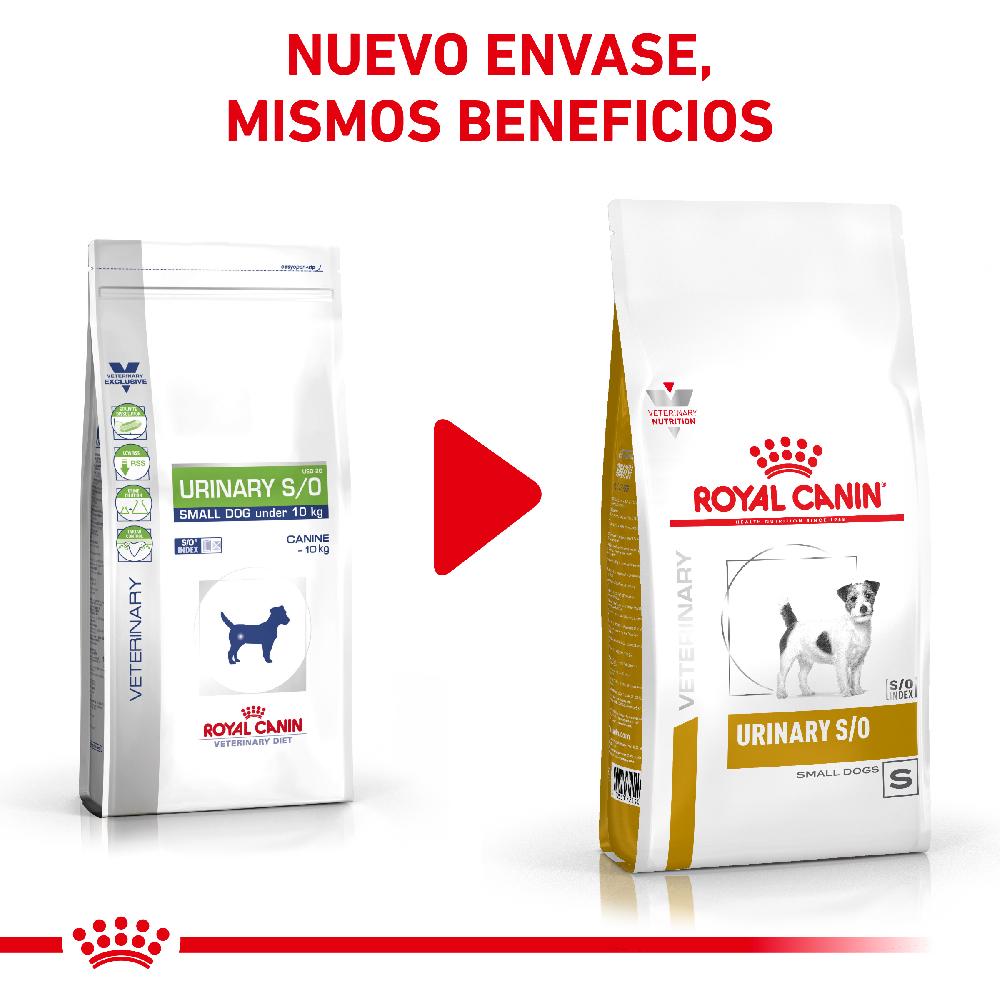 Miscota Royal Canin Cibo Secco per Cani Urinare S/O Small Dog Affare Del Giorno