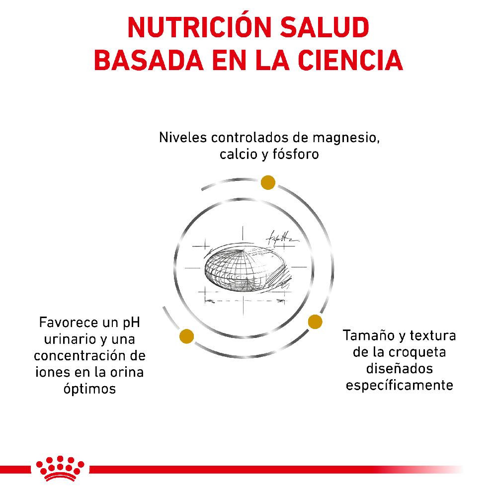 Miscota Royal Canin Cibo Secco per Cani Urinare S/O Small Dog Affare Del Giorno