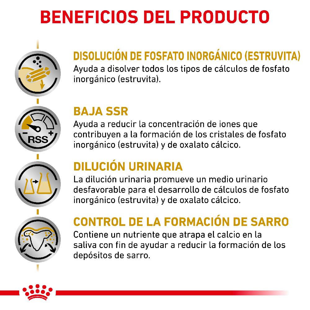 Miscota Royal Canin Cibo Secco per Cani Urinare S/O Small Dog Affare Del Giorno