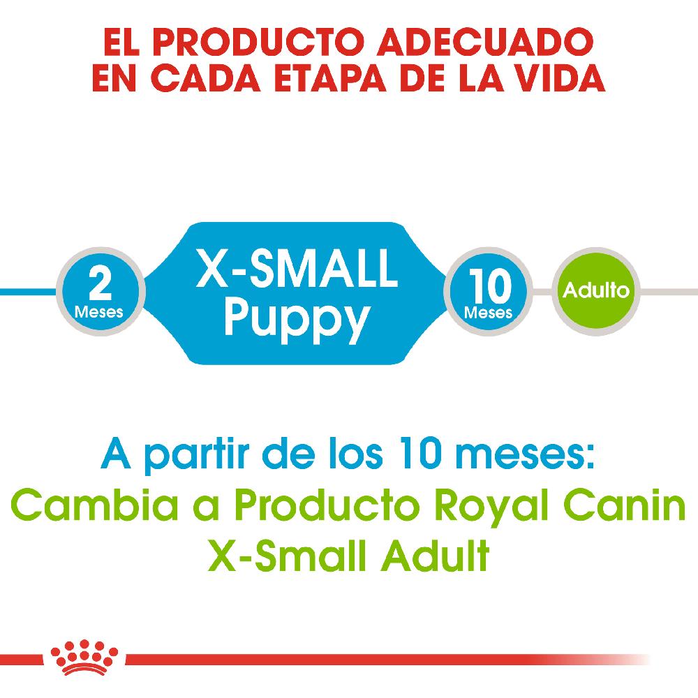 Miscota Royal Canin X-Small Puppy Cuccioli di razza miniatura Prezzo Ridotto