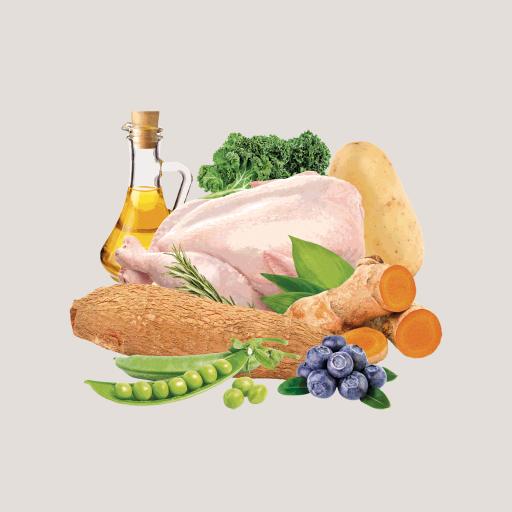 Miscota Traveness Ricetta di pollo naturale senza cereali per cani Sconto