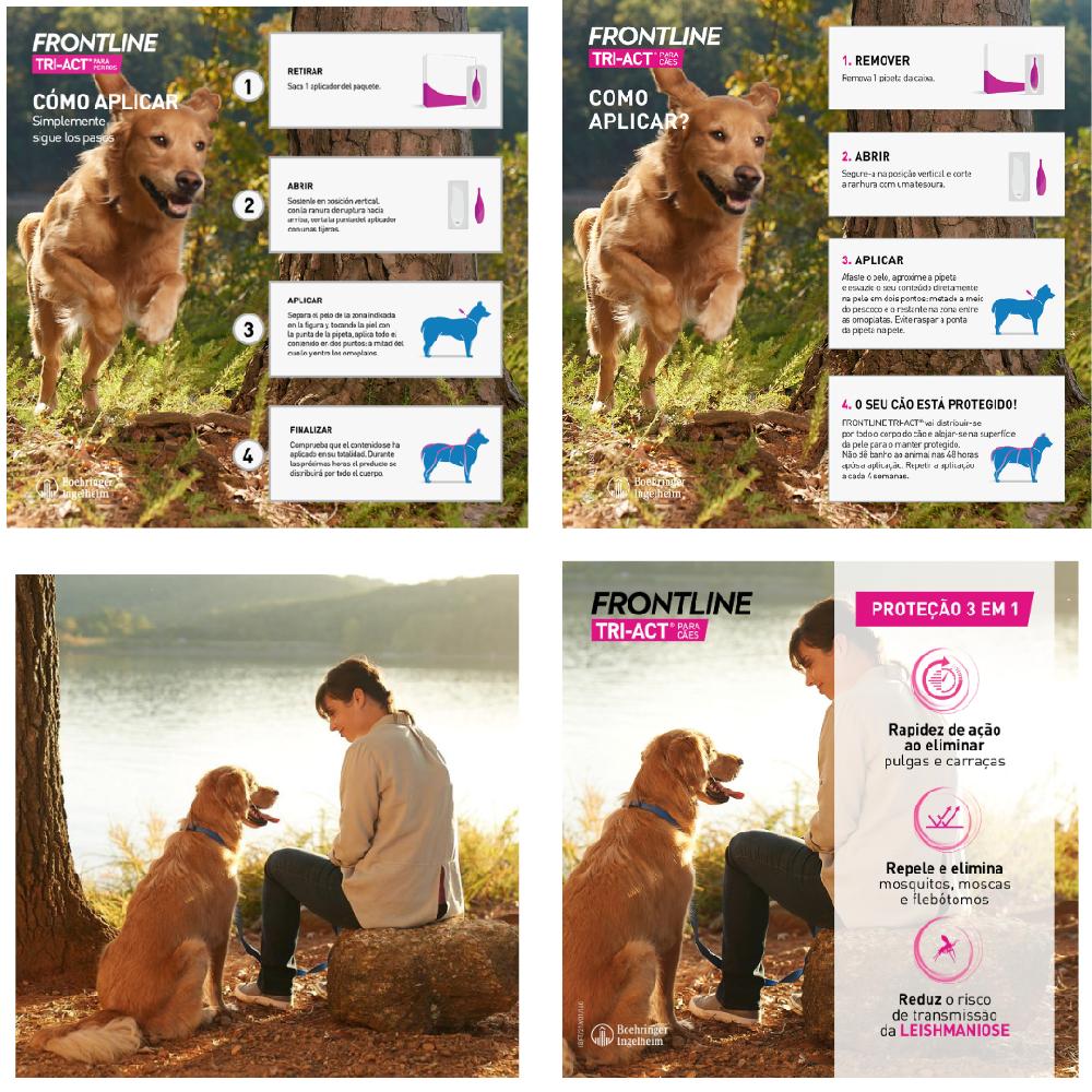 Miscota Frontline Pipette Tri Act per Cani di Taglia Piccola 5-10 Kg Outlet