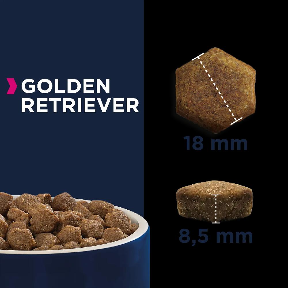 Miscota Eukanuba Golden Retriever Offerte