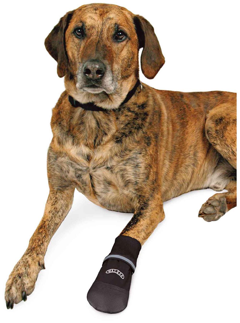 Miscota Trixie Stivali protettivi Comfort Walker Care Saldi Di Fabbrica