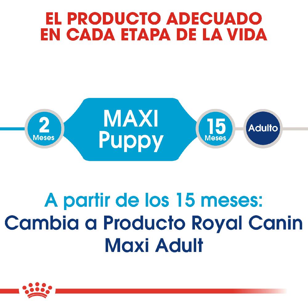 Miscota Royal Canin Maxi Puppy Cibo per cuccioli di razza grande Grande vendita