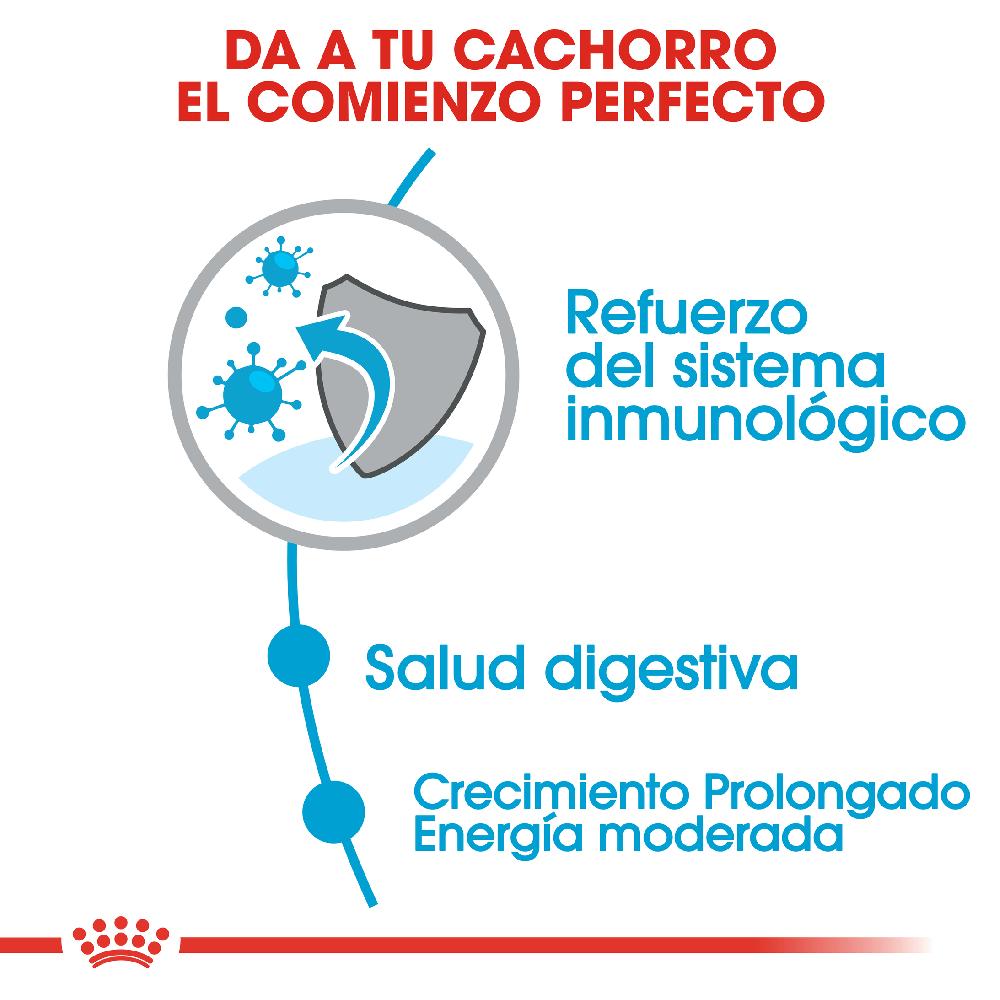 Miscota Royal Canin Maxi Puppy Cibo per cuccioli di razza grande Grande vendita
