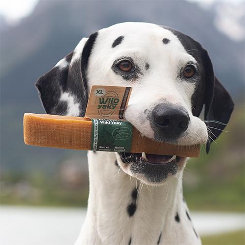 Miscota Wild Balance yak naturale del latte biter dell'Himalaya per Cani Vendite stagionali