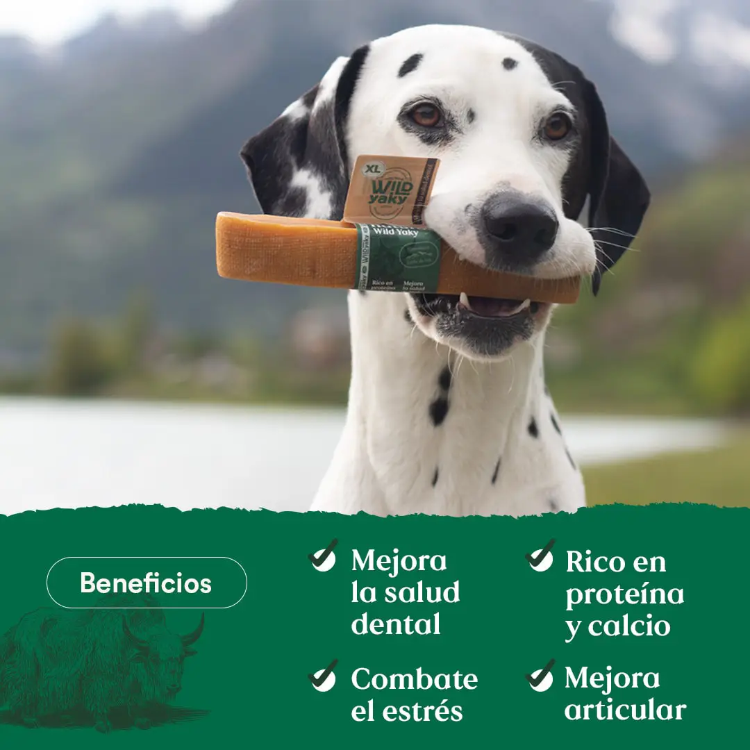 Miscota Wild Balance yak naturale del latte biter dell'Himalaya per Cani Vendite stagionali