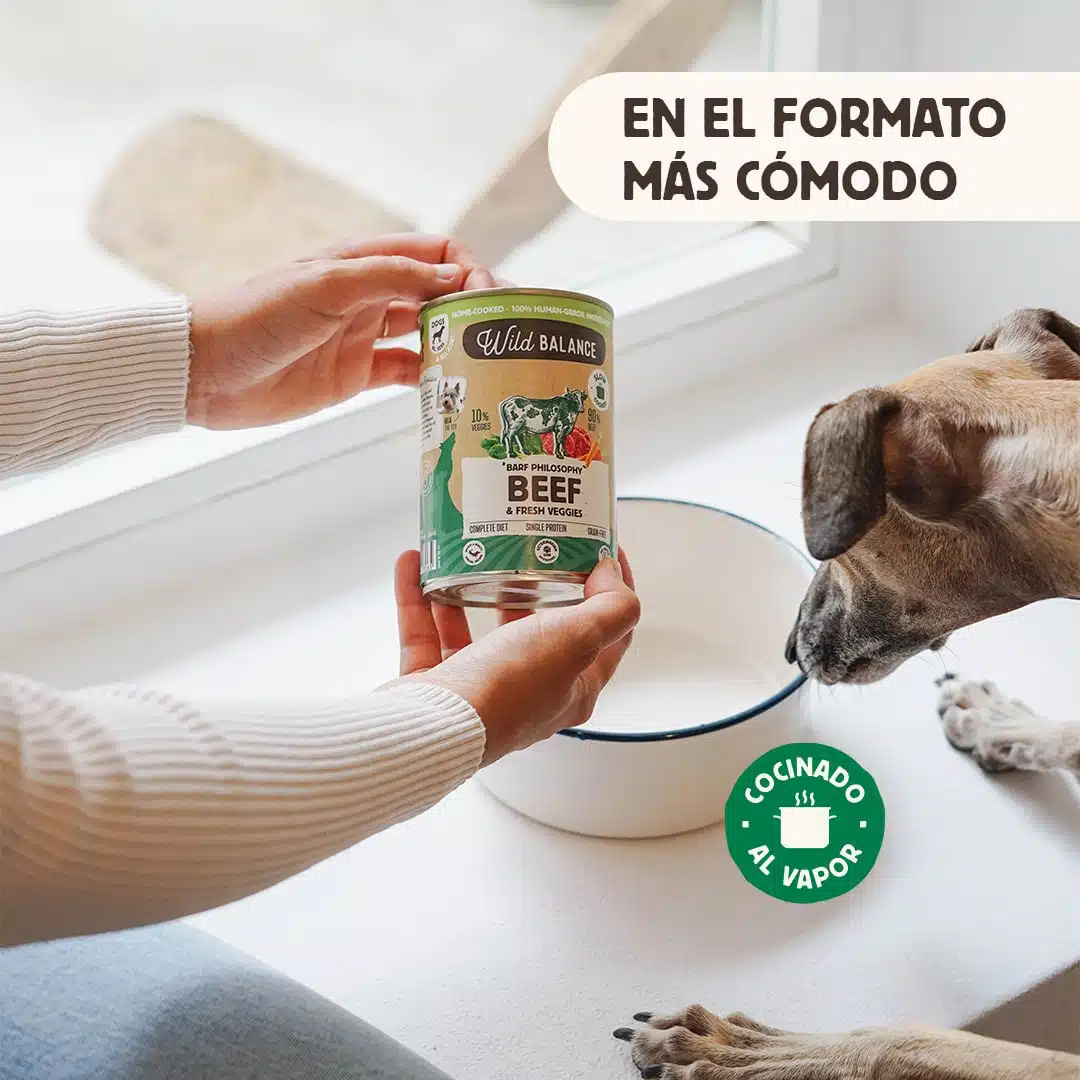 Miscota Wild Balance Menu Completo di Vitello per Cani Offerta migliore