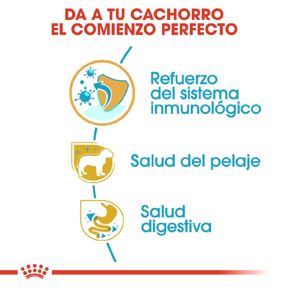 Miscota Royal Canin Poodle Puppy Online Outlet