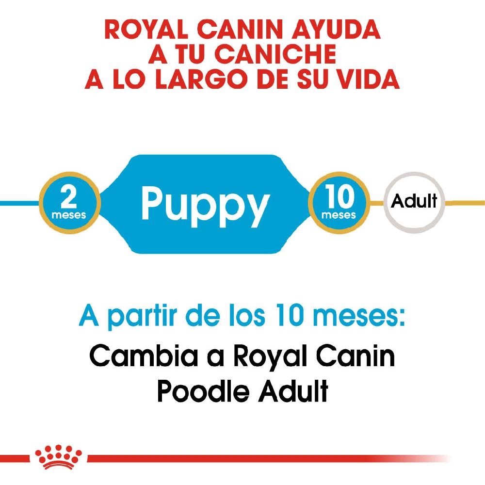 Miscota Royal Canin Poodle Puppy Online Outlet