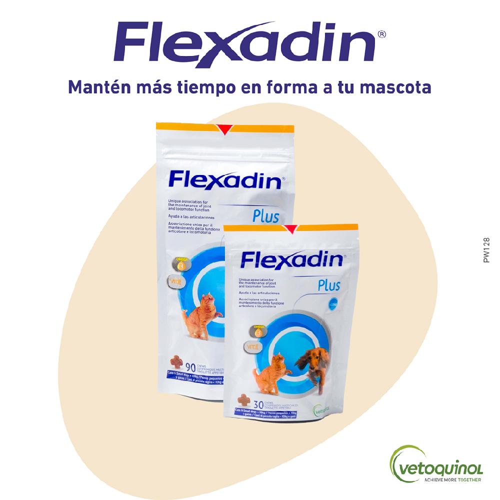 Miscota Vétoquinol Flexadin Plus per Piccoli Cani e Gatti Nuovi prodotti