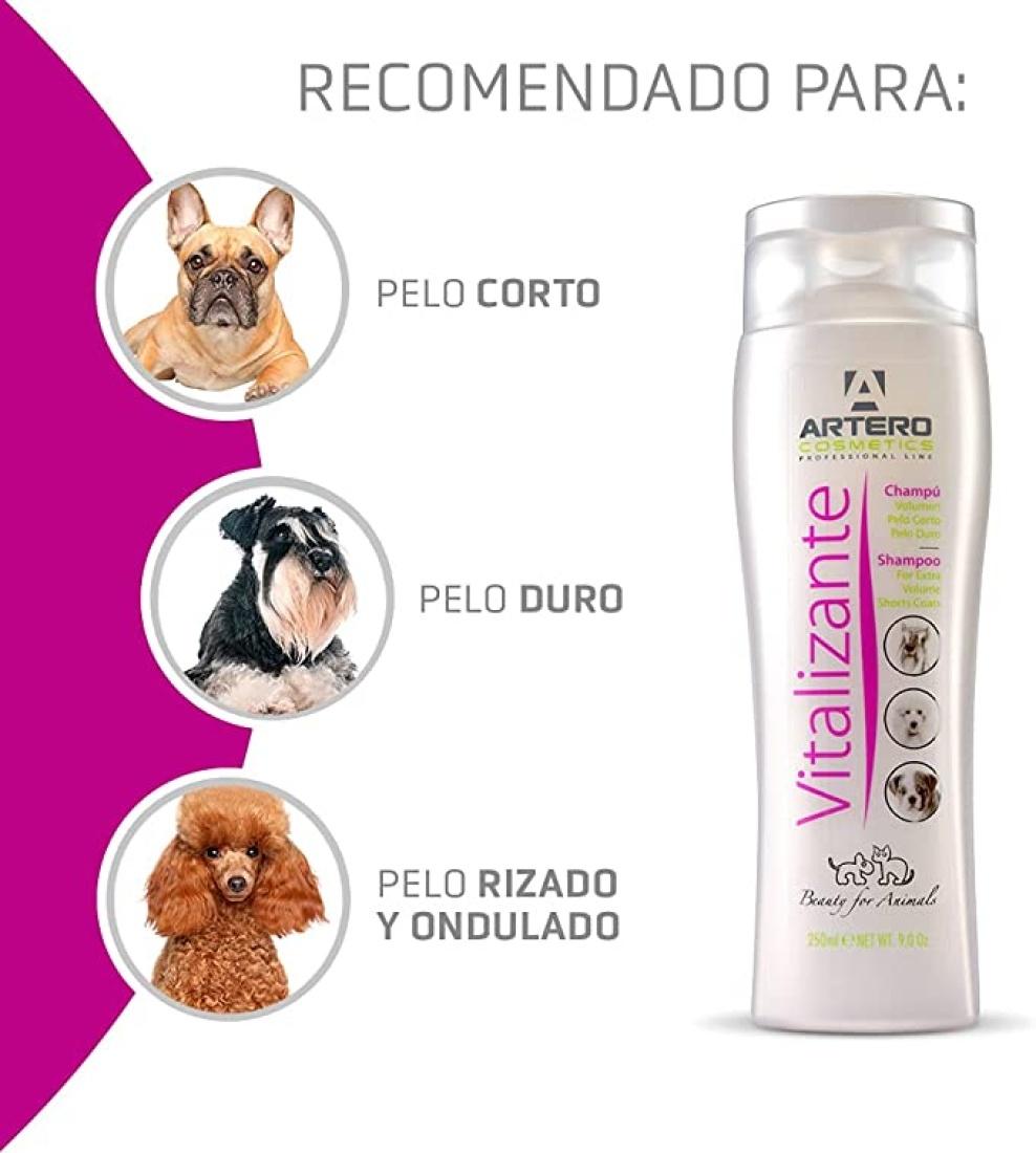 Miscota Artero Shampoo Vitalizer Liquidazione
