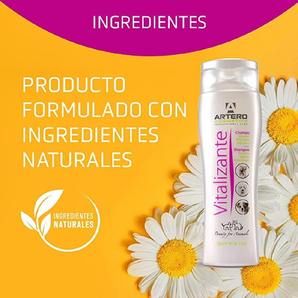 Miscota Artero Shampoo Vitalizer Liquidazione