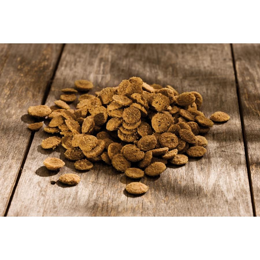 Miscota Happy Dog Sano N Super Saving Price