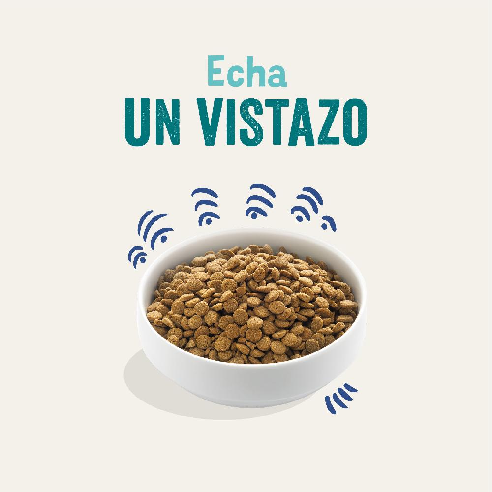 Miscota Edgard & Cooper Adult Senza Cereali Con Salmone Fresco Fino al 50% di sconto