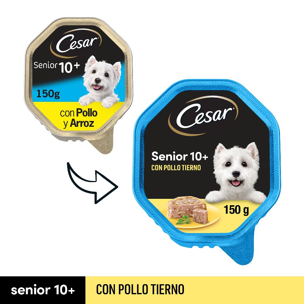 Miscota Cesar Cibo umido per cani anziani in patè con pollo e vasca di riso Fino al 60% di sconto