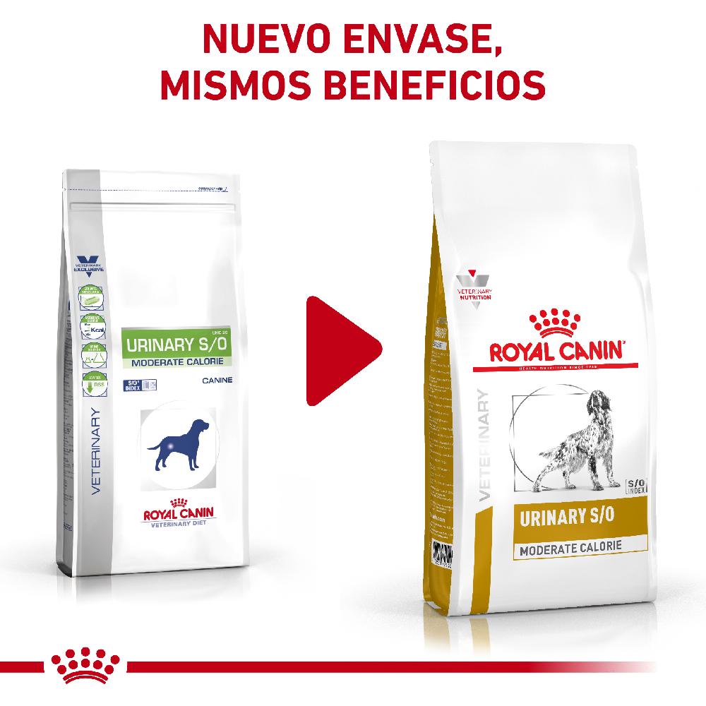 Miscota Royal Canin Cibo Secco per Cani Urinare S/O Moderate Calorie Canine Super sconto